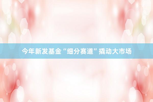 今年新发基金“细分赛道”撬动大市场