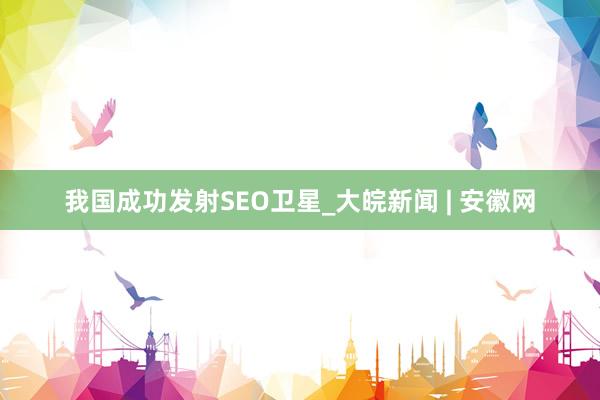 我国成功发射SEO卫星_大皖新闻 | 安徽网