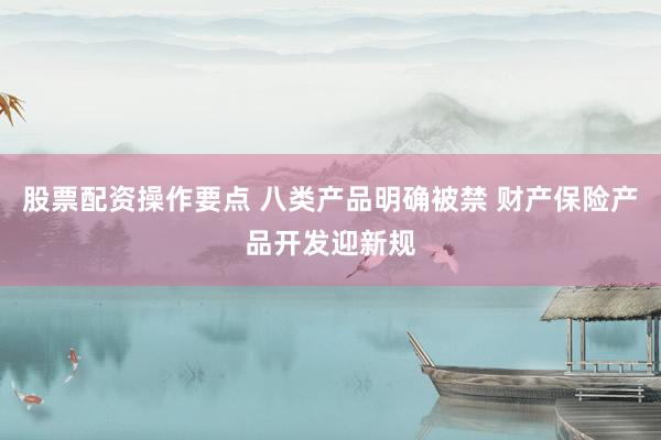 股票配资操作要点 八类产品明确被禁 财产保险产品开发迎新规